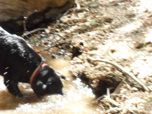 con la cabeza bajo agua!